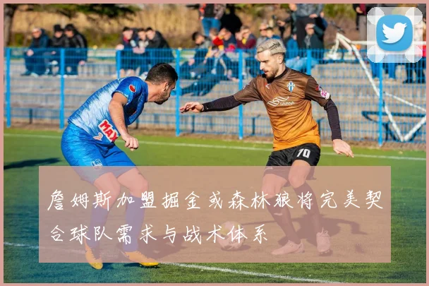 詹姆斯加盟掘金或森林狼将完美契合球队需求与战术体系