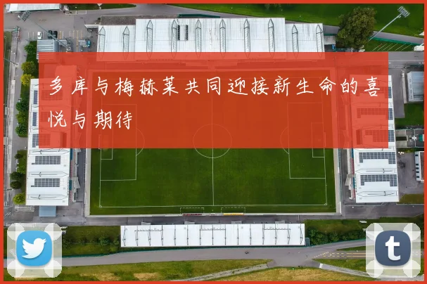 多库与梅赫莱共同迎接新生命的喜悦与期待